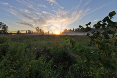 hdr